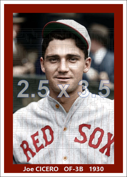 Joe Cicero - 1930 Boston Red Sox - choose a size & style