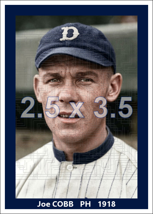 Joe Cobb - 1918 Detroit Tigers - choose a size & style