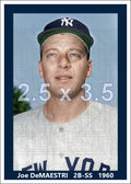Joe DeMaestri - 1960 New York Yankees - choose a size & style