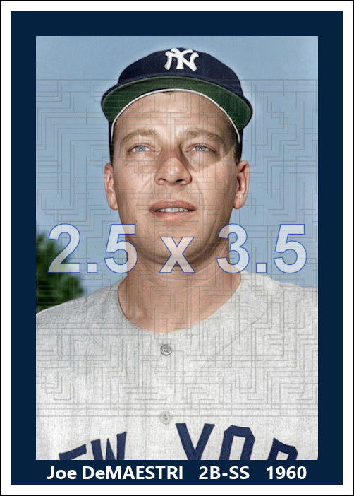Joe DeMaestri - 1960 New York Yankees - choose a size & style