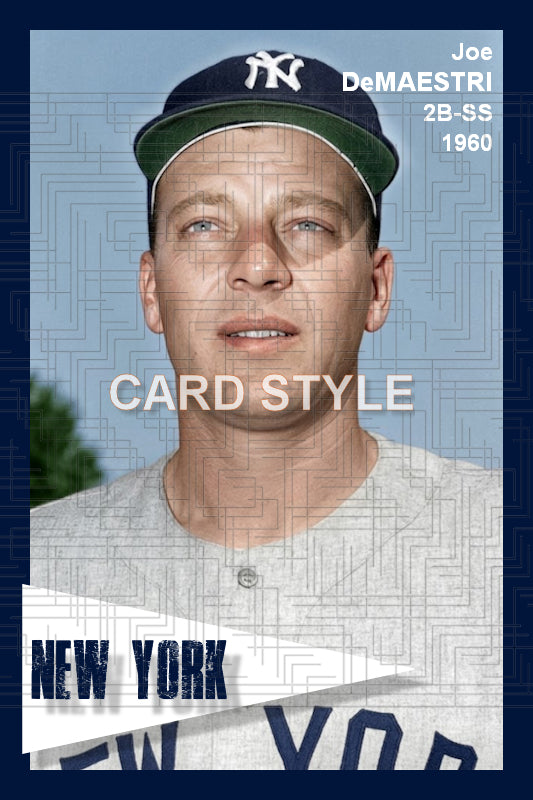 Joe DeMaestri - 1960 New York Yankees - choose a size & style