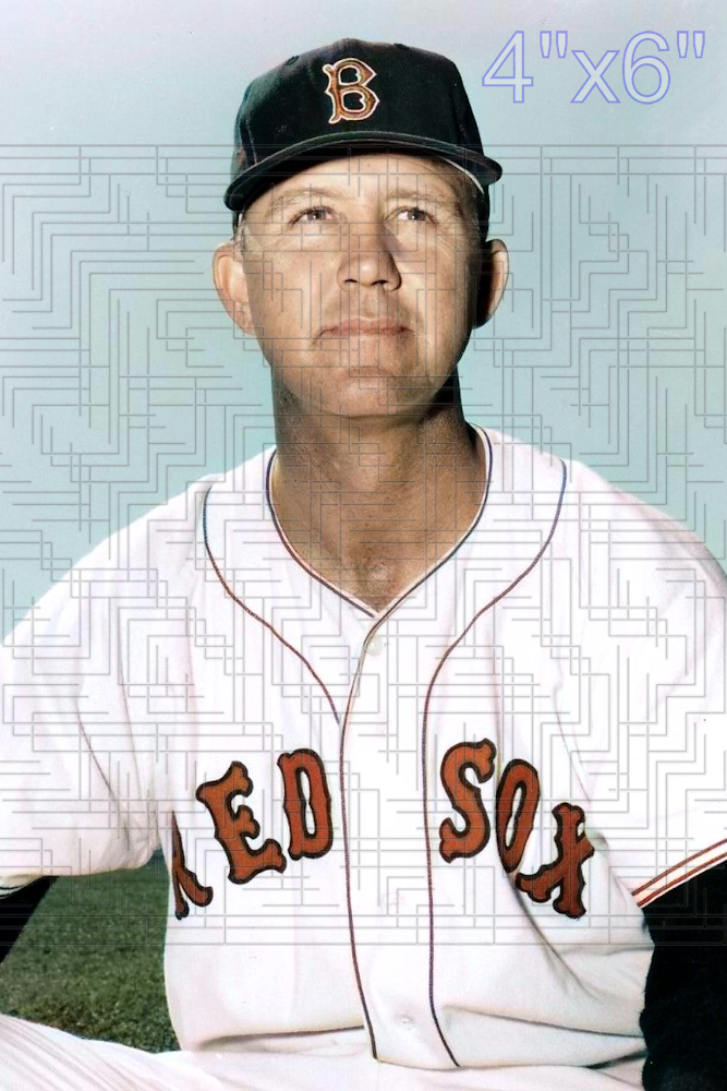 Joe Dobson - 1954 Boston Red Sox - choose a size & style