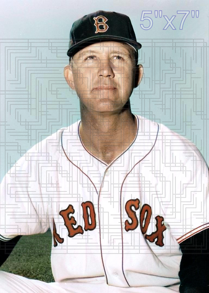 Joe Dobson - 1954 Boston Red Sox - choose a size & style
