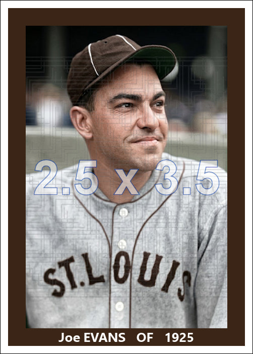 Joe Evans - 1925 St. Louis Browns - choose a size & style