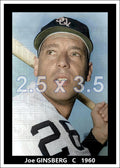 Joe Ginsberg - 1960 Chicago White Sox - choose a size & style