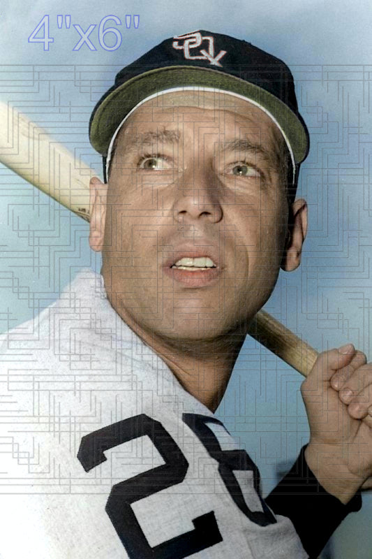 Joe Ginsberg - 1960 Chicago White Sox - choose a size & style