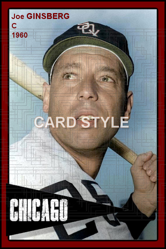 Joe Ginsberg - 1960 Chicago White Sox - choose a size & style