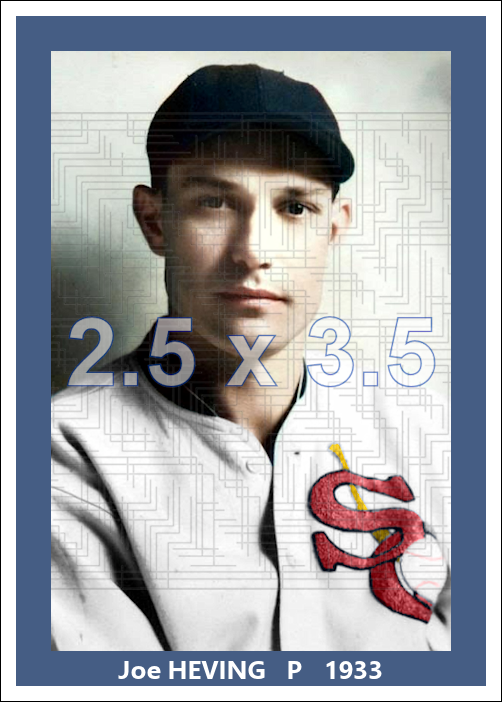 Joe Heving - 1933 Chicago White Sox - choose a size & style
