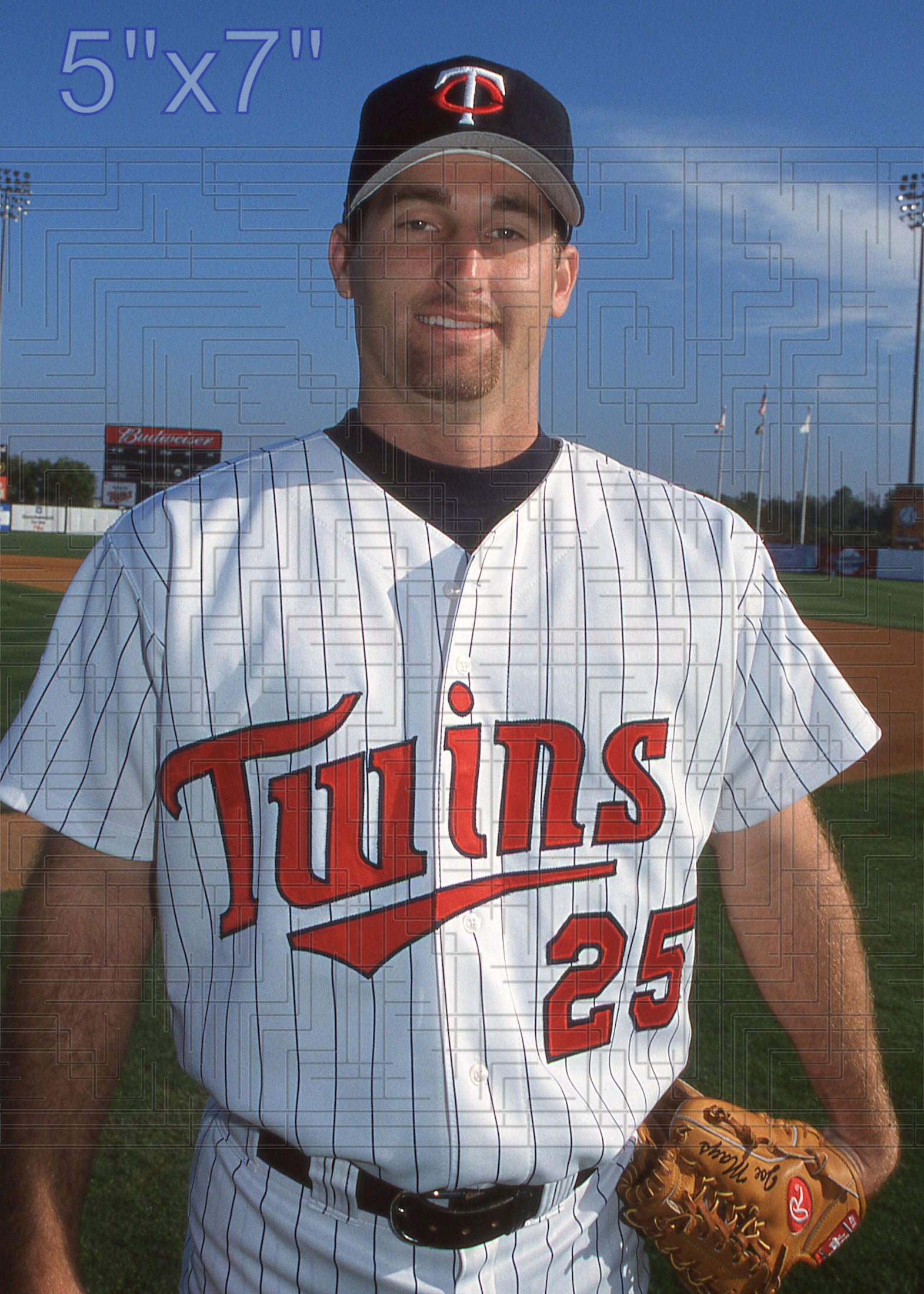 Joe Mays - 2002 Minnesota Twins - choose a size & style