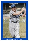 Joe Medwick - 1941 Brooklyn Dodgers - choose a size & style