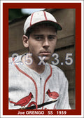 Joe Orengo - 1939 St. Louis Cardinals - choose a size & style
