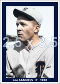 Joe Samuels - 1930 Detroit Tigers - choose a size & style