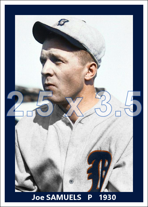 Joe Samuels - 1930 Detroit Tigers - choose a size & style
