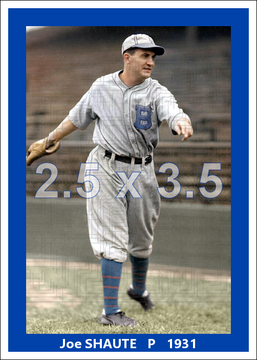 Joe Shaute - 1931 Brooklyn Robins - choose a size & style