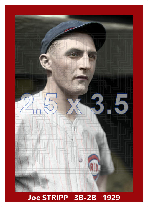 Joe Stripp - 1929 Cincinnati Reds - choose a size & style