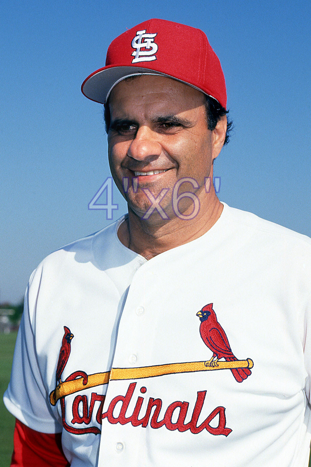 Joe Torre - 1992 St. Louis Cardinals - choose a size & style