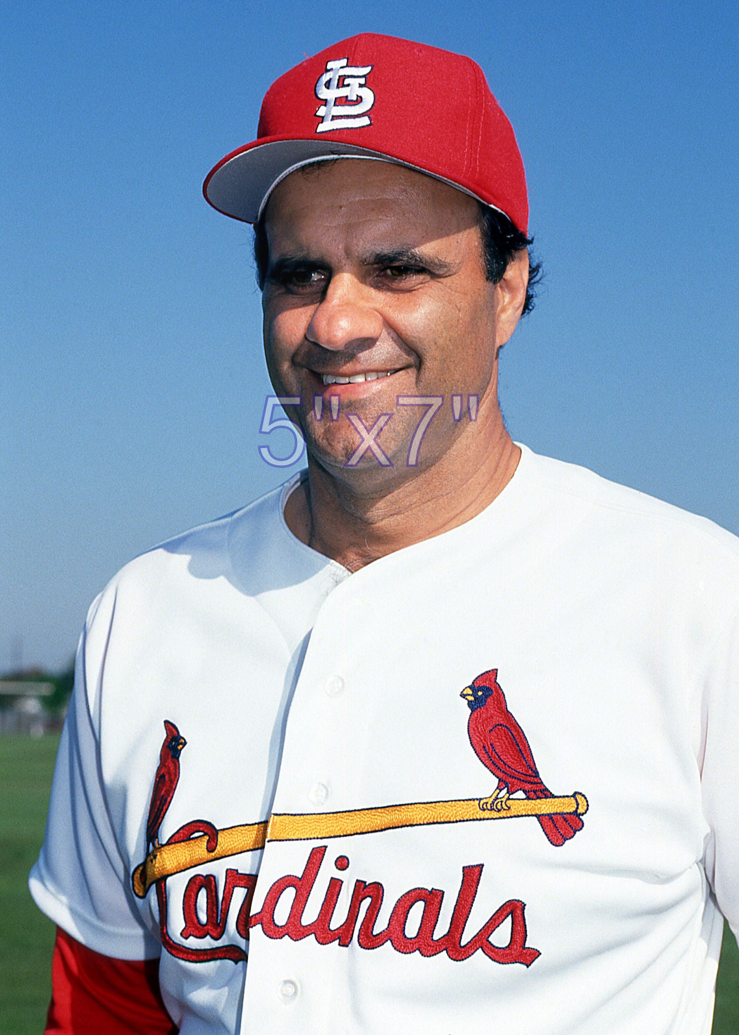 Joe Torre - 1992 St. Louis Cardinals - choose a size & style