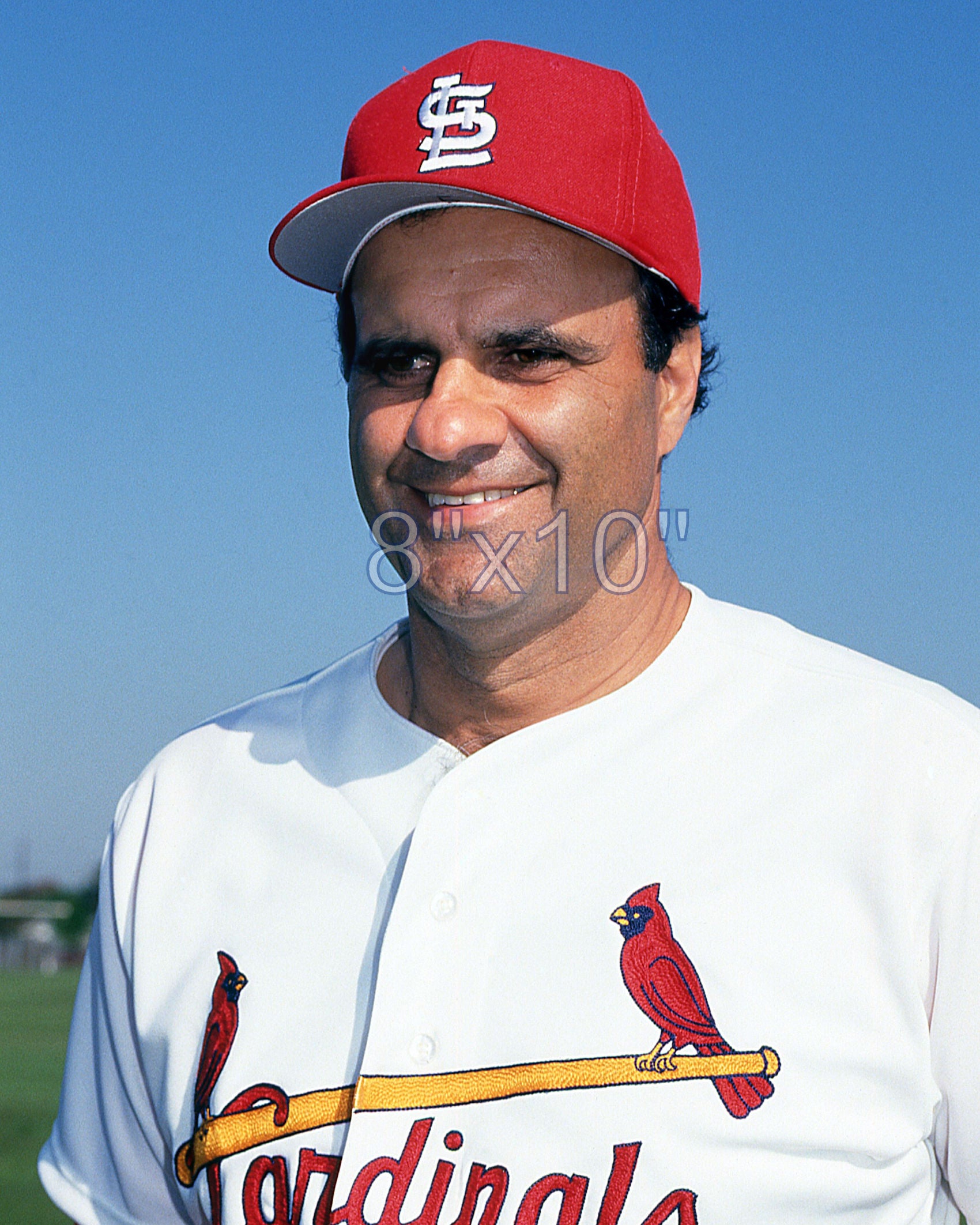 Joe Torre - 1992 St. Louis Cardinals - choose a size & style