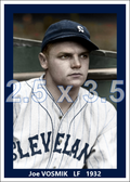 Joe Vosmik - 1932 Cleveland Indians - choose a size & style
