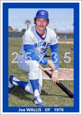 Joe Wallis - 1976 Chicago Cubs - choose a size & style