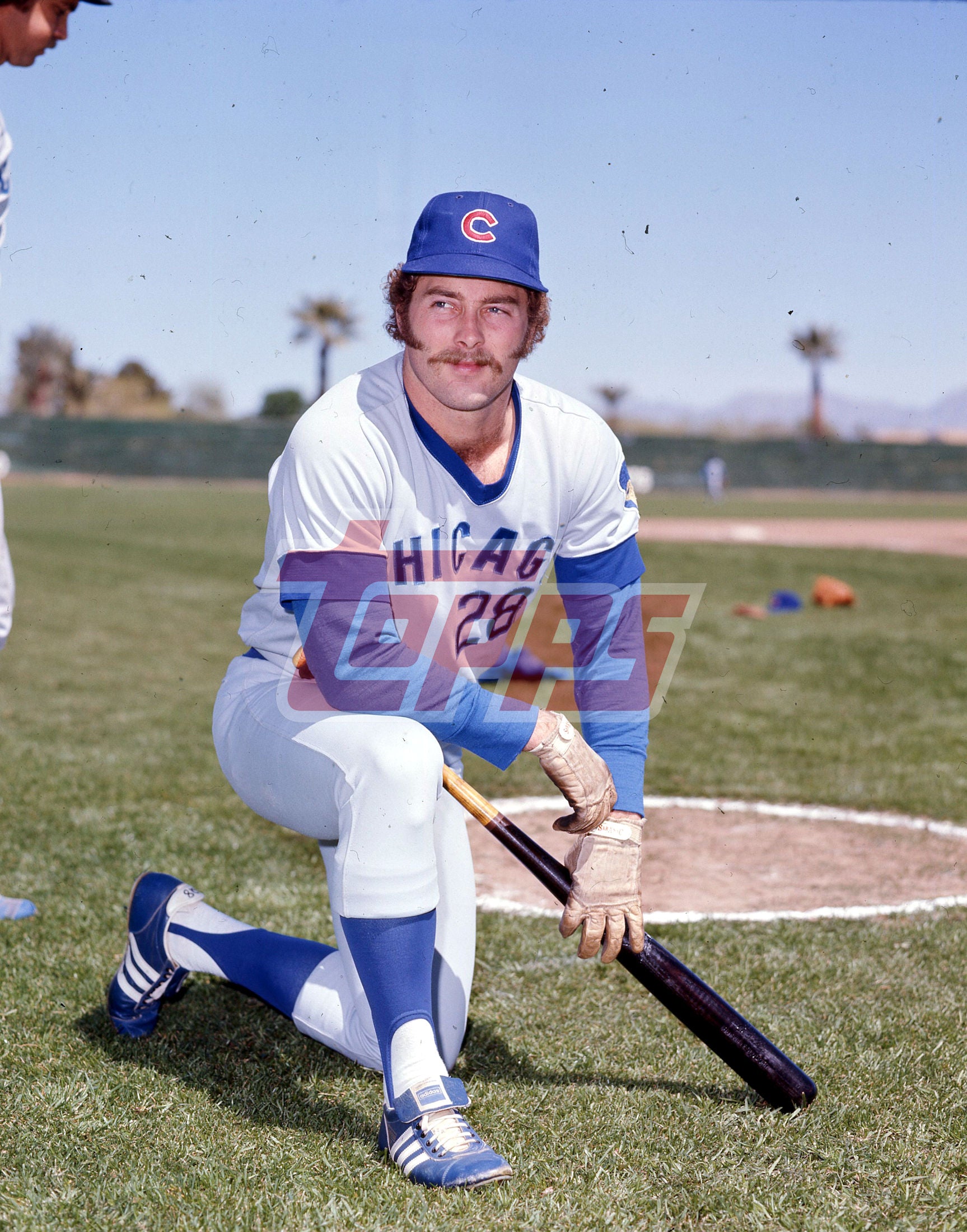 Joe Wallis - 1976 Chicago Cubs - original ToppsVault medium format color transparency