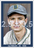 Joe Walsh - 1938 Boston Bees - choose a size & style