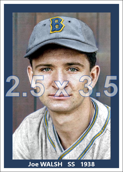 Joe Walsh - 1938 Boston Bees - choose a size & style