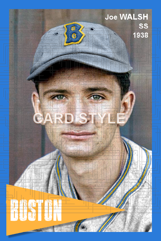 Joe Walsh - 1938 Boston Bees - choose a size & style