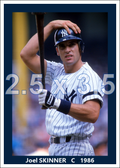 Joel Skinner - 1986 New York Yankees - choose a size & style