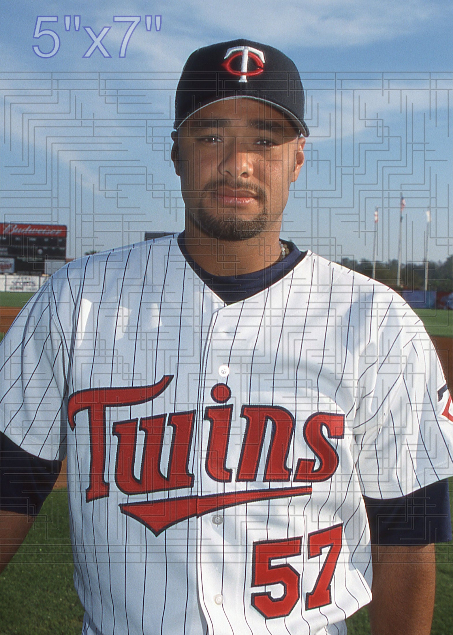 Johan Santana - 2002 Minnesota Twins - choose a size & style