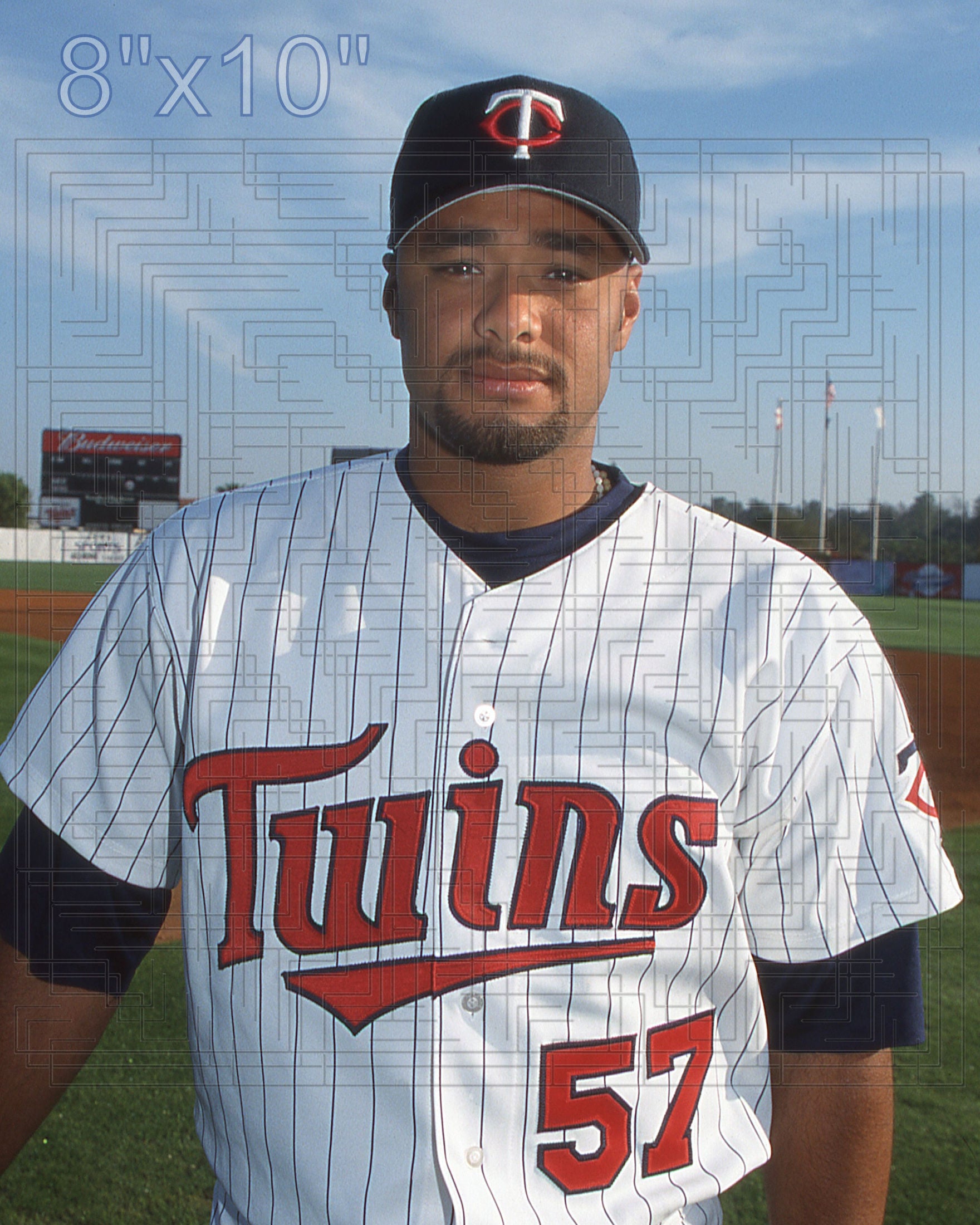 Johan Santana - 2002 Minnesota Twins - choose a size & style