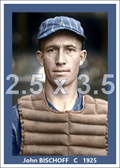 John Bischoff - 1925 Chicago White Sox - choose a size & style