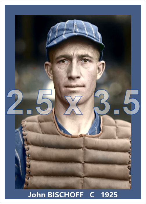John Bischoff - 1925 Chicago White Sox - choose a size & style