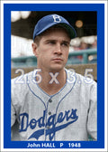 John Hall - 1948 Brooklyn Dodgers - choose a size & style