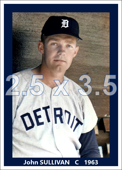John Sullivan - 1963 Detroit Tigers - choose a size & style