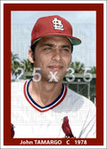 John Tamargo - 1978 St. Louis Cardinals - choose a size & style