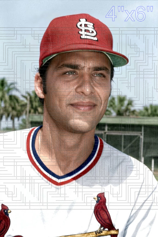 John Tamargo - 1978 St. Louis Cardinals - choose a size & style