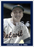 Johnny Bucha - 1953 Detroit Tigers - choose a size & style