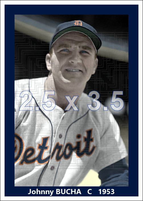 Johnny Bucha - 1953 Detroit Tigers - choose a size & style