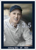 Johnny Gill - 1934 Washington Senators - choose a size & style
