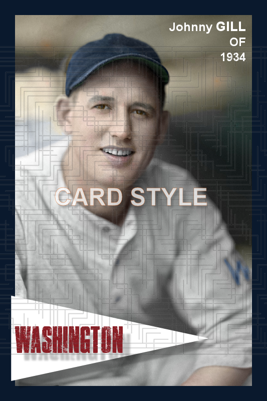 Johnny Gill - 1934 Washington Senators - choose a size & style