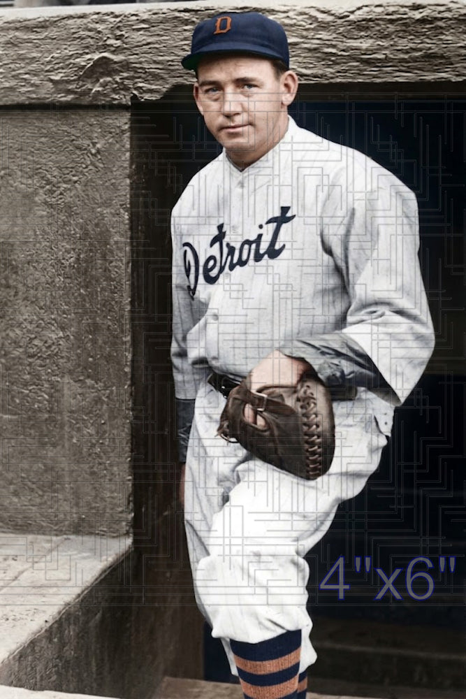 Johnny Grabowski - 1931 Detroit Tigers - choose a size & style