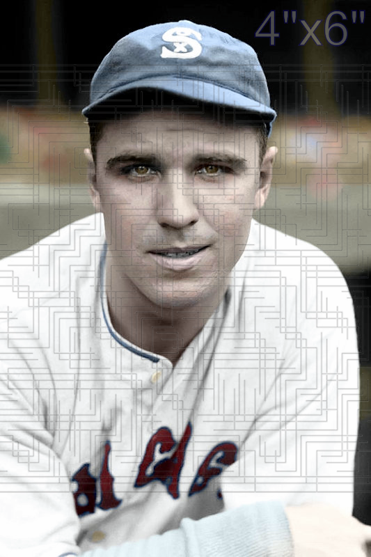 Johnny Hodapp - 1932 Chicago White Sox - choose a size & style