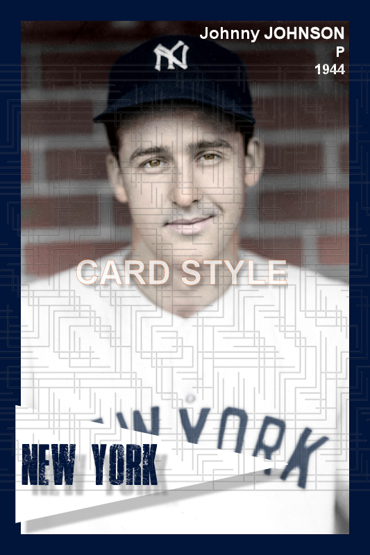 Johnny Johnson - 1944 New York Yankees - choose a size & style
