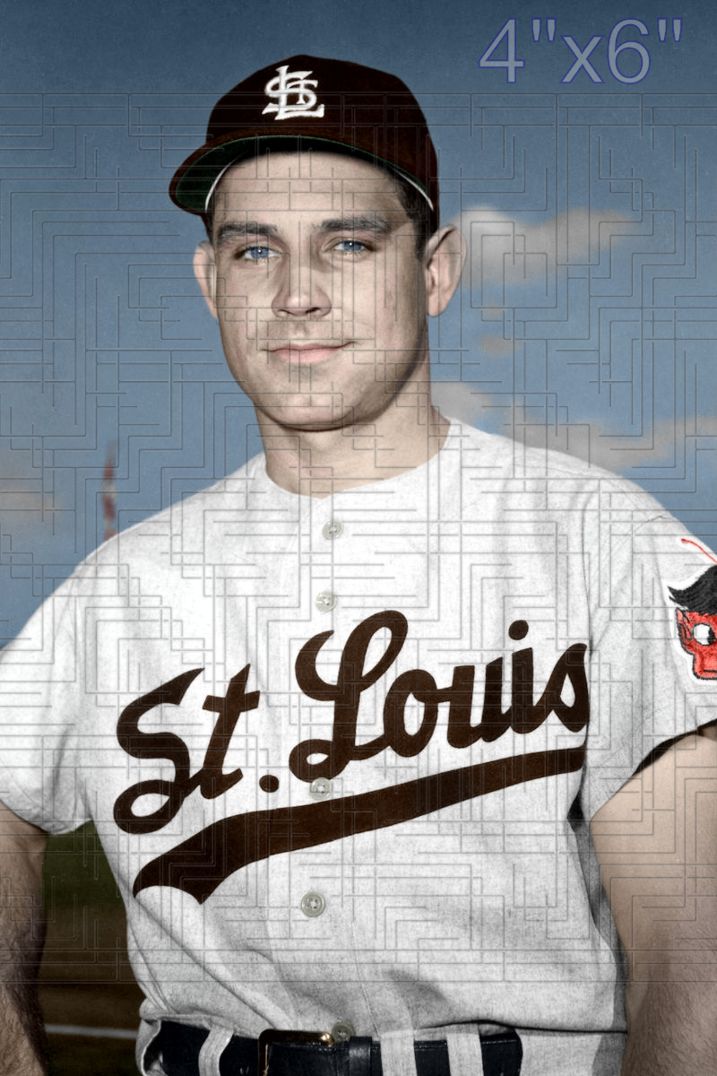 Johnny Lipon - 1953 St. Louis Browns - choose a size & style