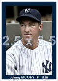 Johnny Murphy - 1936 New York Yankees - choose a size & style