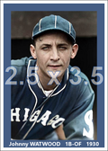 Johnny Watwood - 1930 Chicago White Sox - choose a size & style