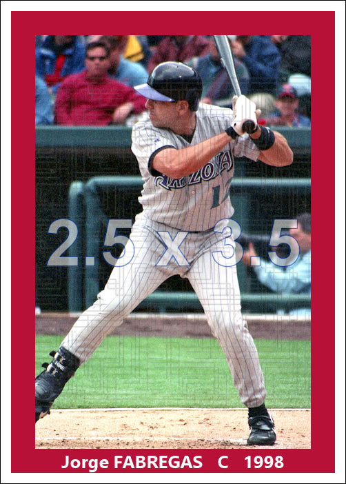 Jorge Fabregas - 1998 Arizona Diamondbacks - choose a size & style