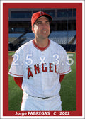 Jorge Fabregas - 2002 Anaheim Angels - choose a size & style
