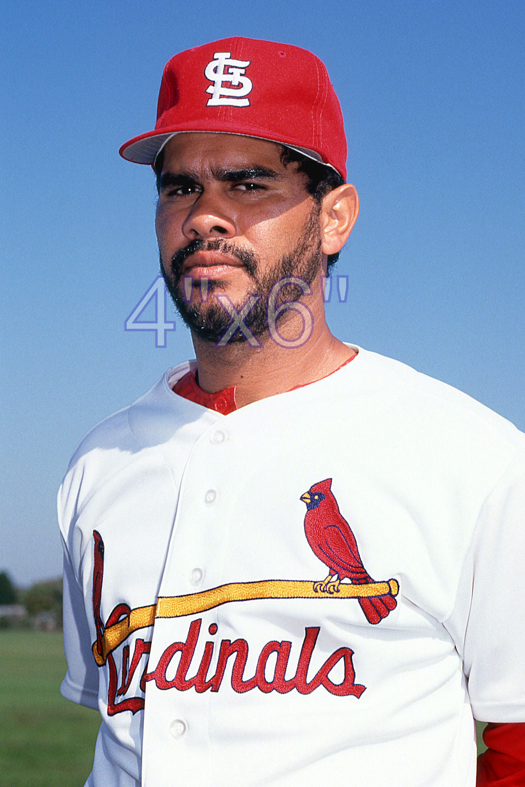 Jose Oquendo - 1992 St. Louis Cardinals - choose a size & style